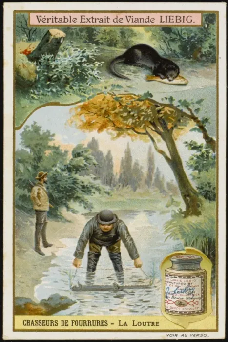 Framed Print : Fur - Otter Hunting Framed Print : Fur - Otter Hunting