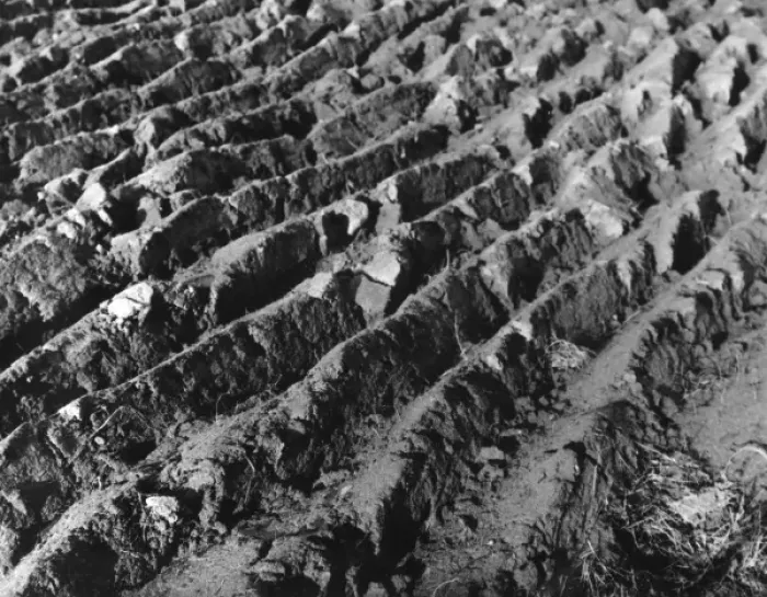 Framed Print : THE FURROWED EARTH Framed Print : THE FURROWED EARTH
