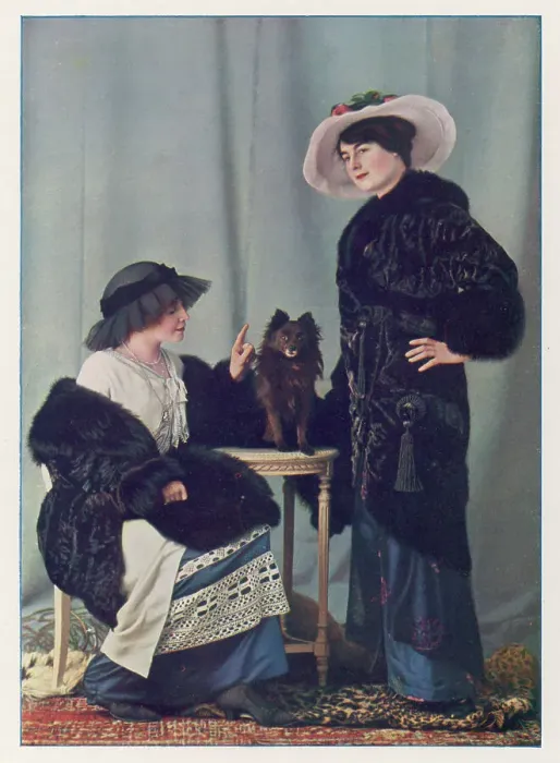 Framed Print : Furs / Grunwaldt / Plate 9 Framed Print : Furs / Grunwaldt / Plate 9