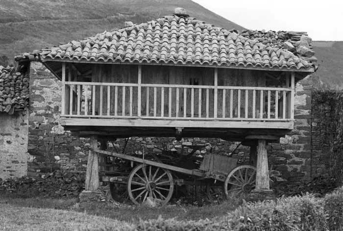 Framed Print : Galician granary - 01 Framed Print : Galician granary - 01