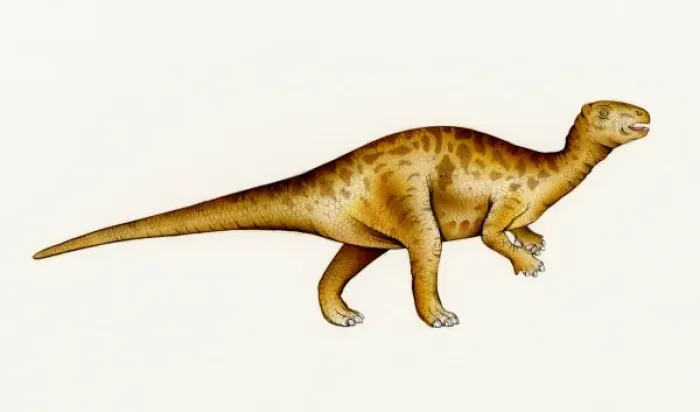 Framed Print : Gallimimus Framed Print : Gallimimus