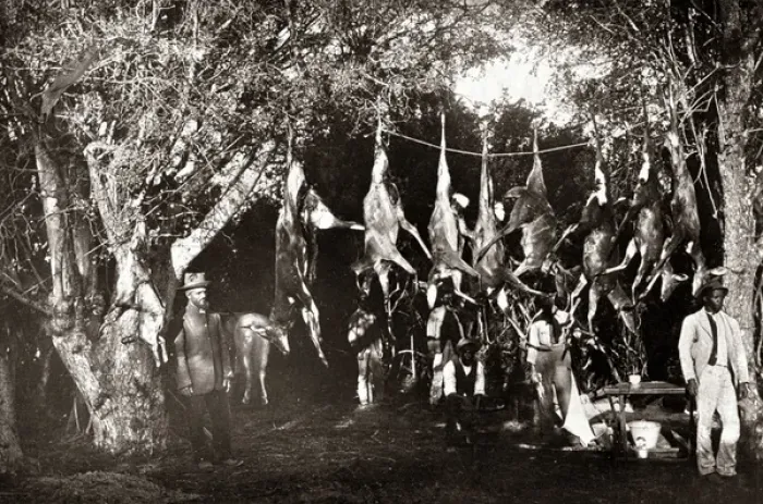 Framed Print : Game hunters with their catch, South Africa, circa 1888 Framed Print : Game hunters with their catch, South Africa, circa 1888
