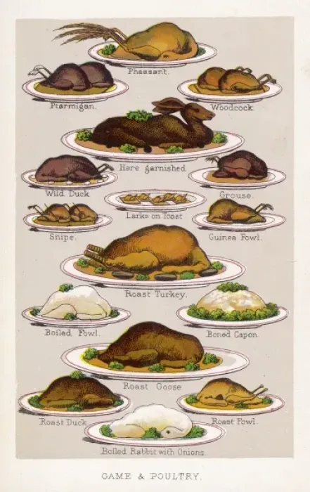 Framed Print : Game & Poultry Framed Print : Game & Poultry