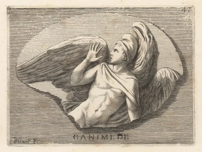 Framed Print : Ganymede, divine hero from Troy, kidnapped to be Zeus cupbearer Framed Print : Ganymede, divine hero from Troy, kidnapped to be Zeus cupbearer