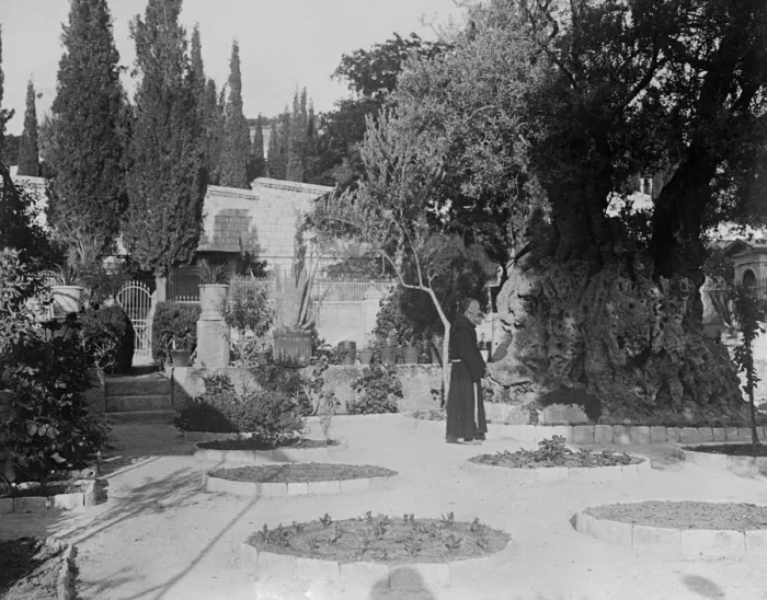 Framed Print : The Garden of Gethsemane Framed Print : The Garden of Gethsemane