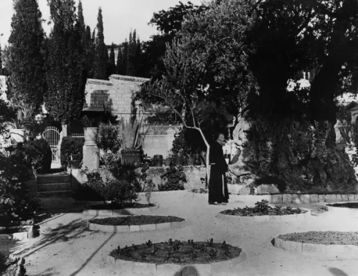 Framed Print : The Garden of Gethsemane Framed Print : The Garden of Gethsemane