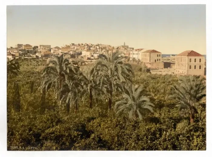 Framed Print : From the garden, Jaffa, Holy Land, (i. e. Israel) Framed Print : From the garden, Jaffa, Holy Land, (i. e. Israel)