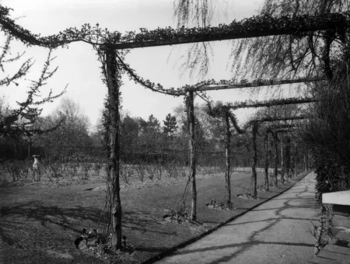 Framed Print : Garden Pergola Framed Print : Garden Pergola