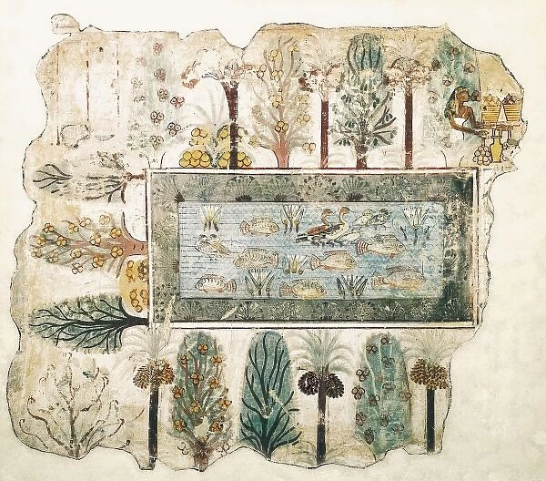 A garden pool. ca. 1350 BC. 18th Dynasty. Wall
