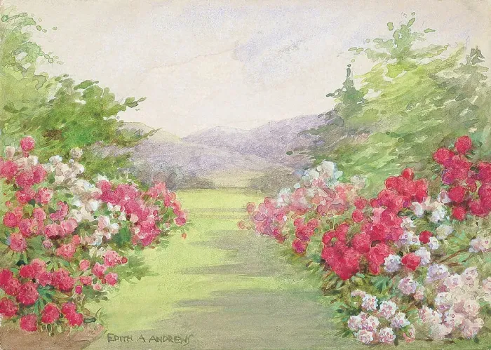 Framed Print : Garden (rhododendron borders) - Gardens Framed Print : Garden (rhododendron borders) - Gardens