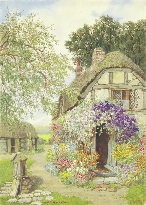 Framed Print : Garden Scene Framed Print : Garden Scene