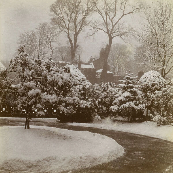 Front garden in the snow, Ealing, West London