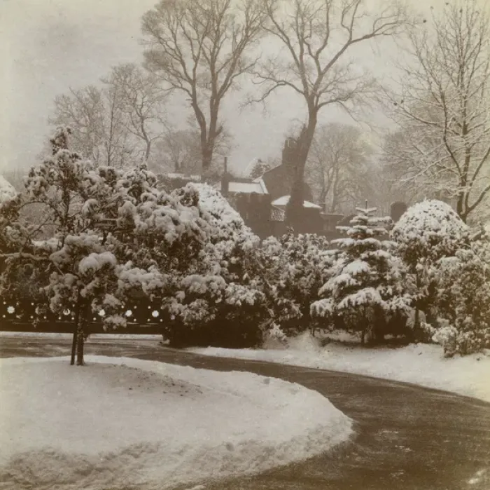 Framed Print : Front garden in the snow, Ealing, West London Framed Print : Front garden in the snow, Ealing, West London