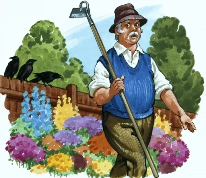 Framed Print : Gardener Framed Print : Gardener