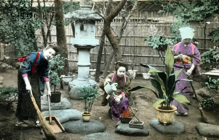 Framed Print : Gardening in Japan Framed Print : Gardening in Japan