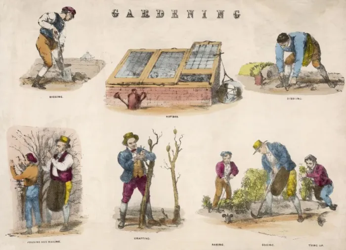 Framed Print : Gardening Tasks Framed Print : Gardening Tasks