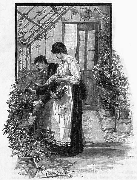 Gardening tasks, pest control, 1891