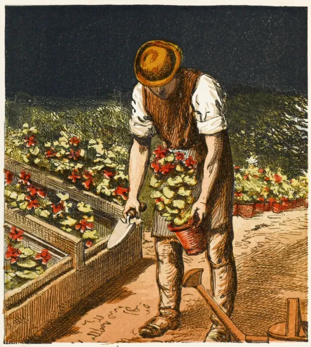 Framed Print : Gardens / Operations / 1867 Framed Print : Gardens / Operations / 1867