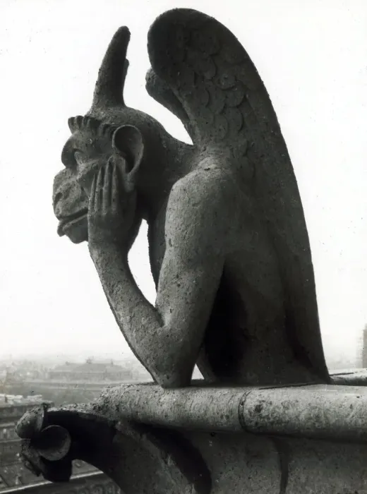 Framed Print : Gargoyle on Notre Dame Cathedral, Paris, France Framed Print : Gargoyle on Notre Dame Cathedral, Paris, France