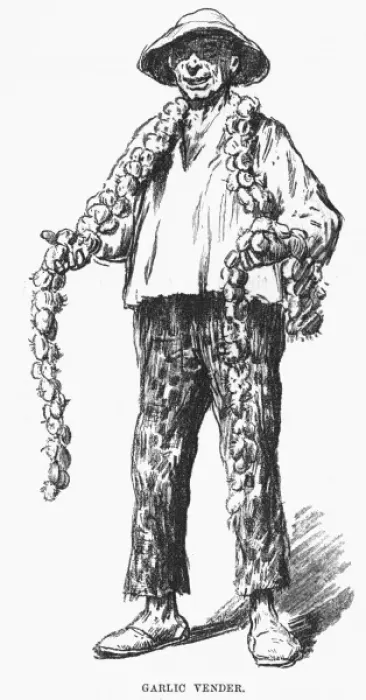 Framed Print : Garlic Vendor Spain 1882 Framed Print : Garlic Vendor Spain 1882