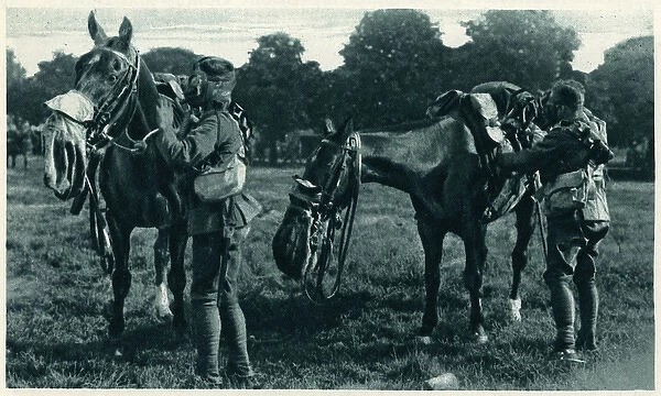 Gas-masked horse and horseman at Aldershot