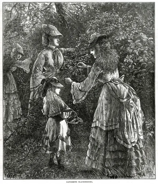 Framed Print : Gathering blackberries 1872 Framed Print : Gathering blackberries 1872