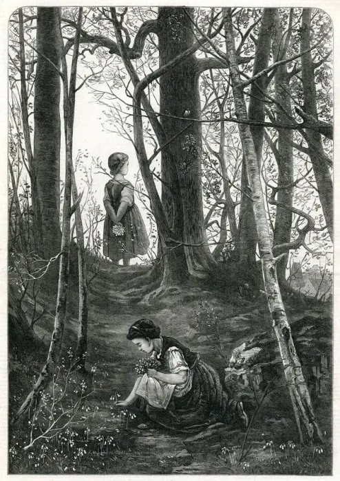 Framed Print : Gathering cowslips 1872 Framed Print : Gathering cowslips 1872