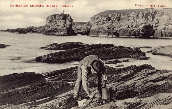 Gathering Limpets - Birsay, Orkney