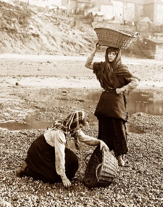 Framed Print : Gathering shellfish, Whitby, Victorian period Framed Print : Gathering shellfish, Whitby, Victorian period