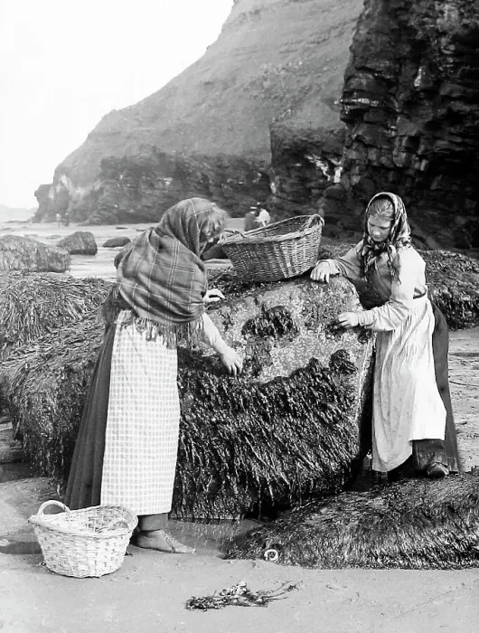Framed Print : Gathering shellfish, Whitby, Victorian period Framed Print : Gathering shellfish, Whitby, Victorian period