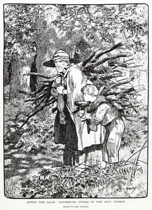 Framed Print : Gathering sticks in the New Forest. Date: 1903 Framed Print : Gathering sticks in the New Forest. Date: 1903