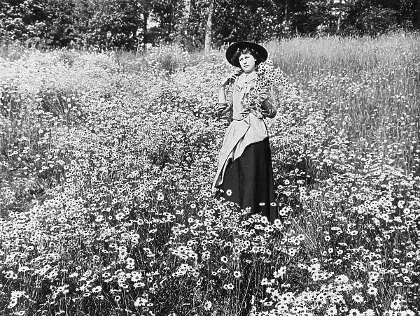 Gathering wild flowers, 1890s