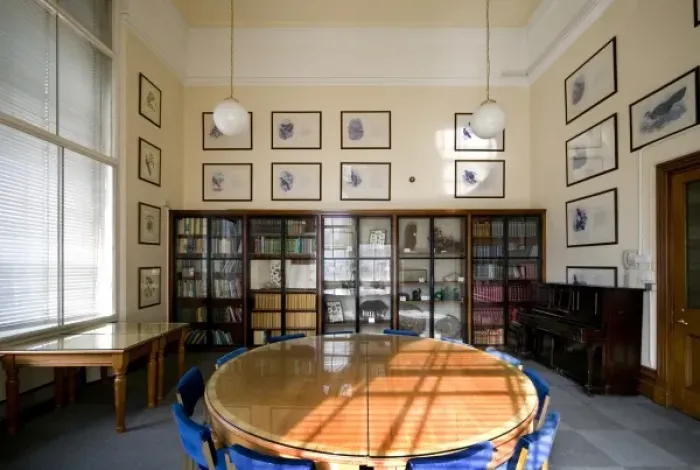 Framed Print : The Gavin De Beer room Framed Print : The Gavin De Beer room