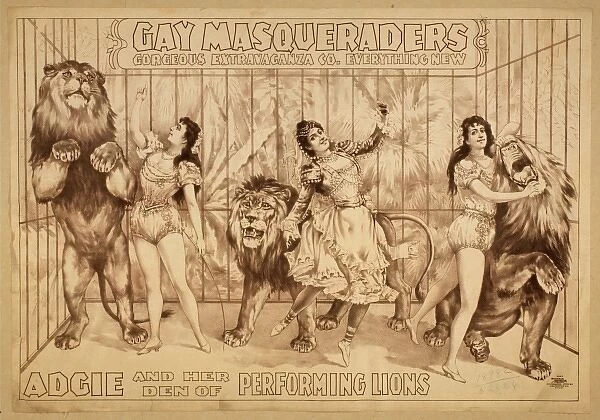 Gay Masqueraders Gorgeous Extravaganza Co. everything new