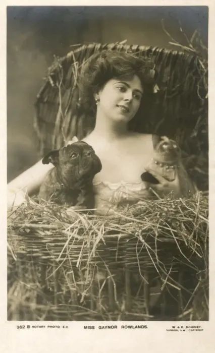Framed Print : Gaynor Rowlands, performer, with cat and dog Framed Print : Gaynor Rowlands, performer, with cat and dog