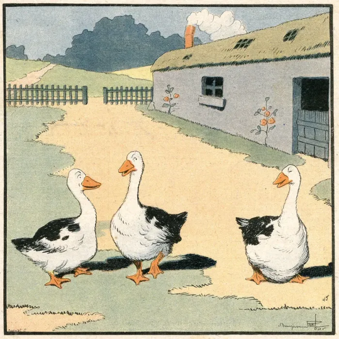 Framed Print : GEESE IN FRANCE Framed Print : GEESE IN FRANCE