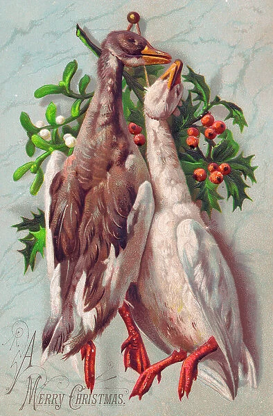 Two geese with holly and mistletoe on a Christmas card