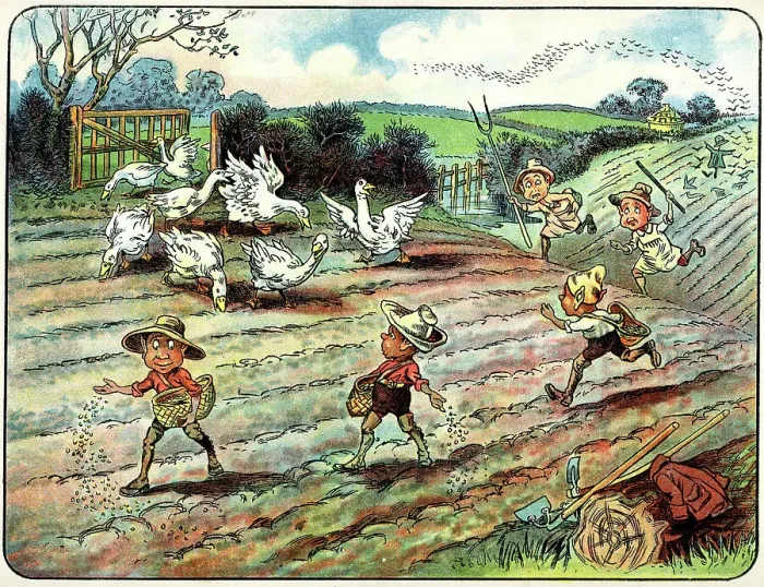 Framed Print : Geese invade the field where the Brownies are sowing Framed Print : Geese invade the field where the Brownies are sowing