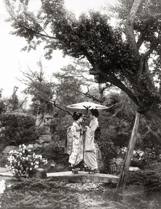 Framed Print : Two geishas under a parasol, Japan, c. 1890 Framed Print : Two geishas under a parasol, Japan, c. 1890