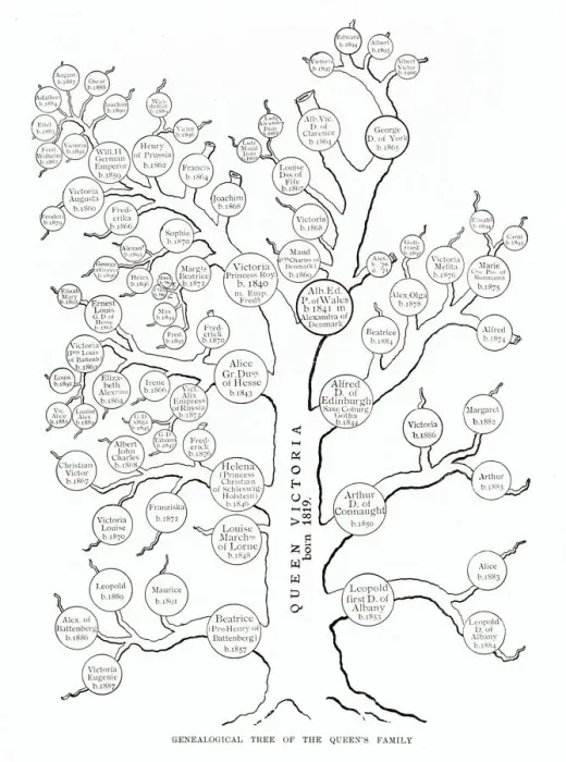 Framed Print : Genealogical tree of Queen Victorias family Framed Print : Genealogical tree of Queen Victorias family