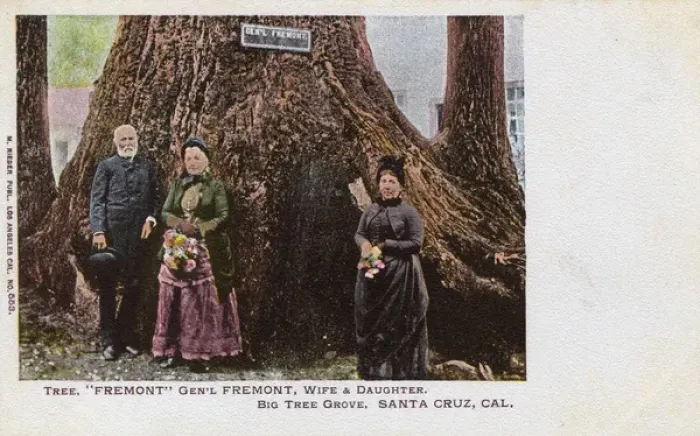 Framed Print : General Fremont and tree, Santa Cruz, California, USA Framed Print : General Fremont and tree, Santa Cruz, California, USA