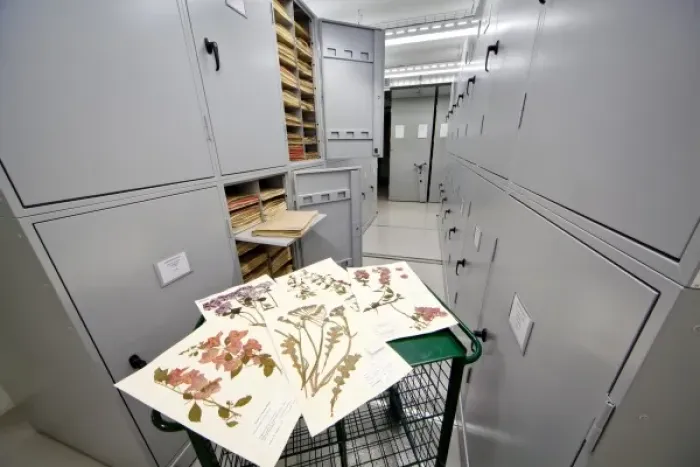 Framed Print : General Herbarium, Darwin Centre Framed Print : General Herbarium, Darwin Centre