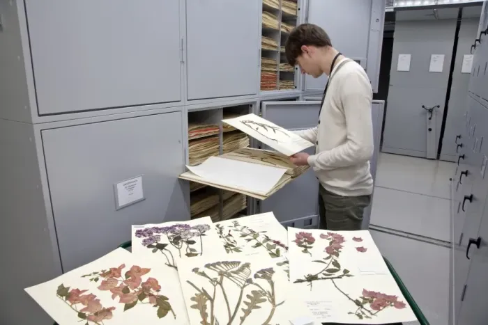 Framed Print : General Herbarium, Darwin Centre Framed Print : General Herbarium, Darwin Centre