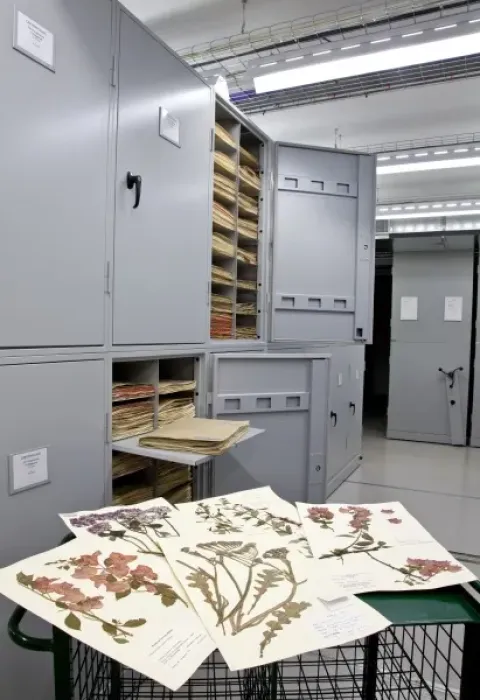 Framed Print : General Herbarium, Darwin Centre Framed Print : General Herbarium, Darwin Centre