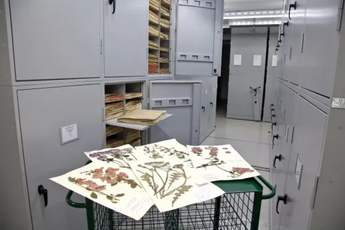 Framed Print : The General Herbarium, Darwin Centre Framed Print : The General Herbarium, Darwin Centre