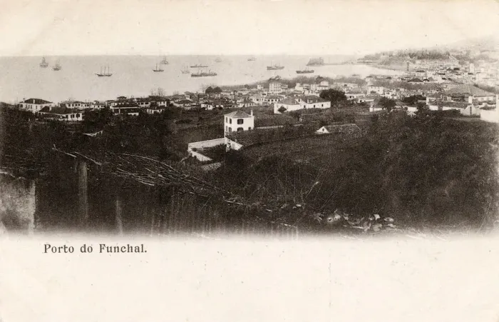 Framed Print : General view of Funchal, Madeira Framed Print : General view of Funchal, Madeira