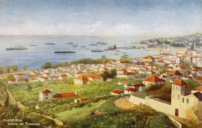 Framed Print : General view of Funchal, Madeira Framed Print : General view of Funchal, Madeira
