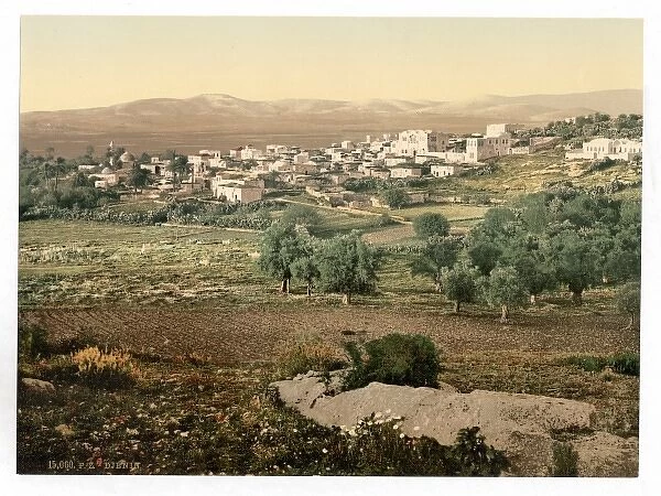 General view, Jenin, Holy Land, (i. e. West Bank)