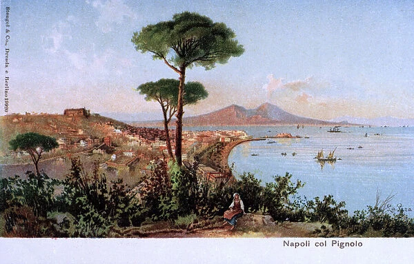 General view of Naples and Pignolo, Italy