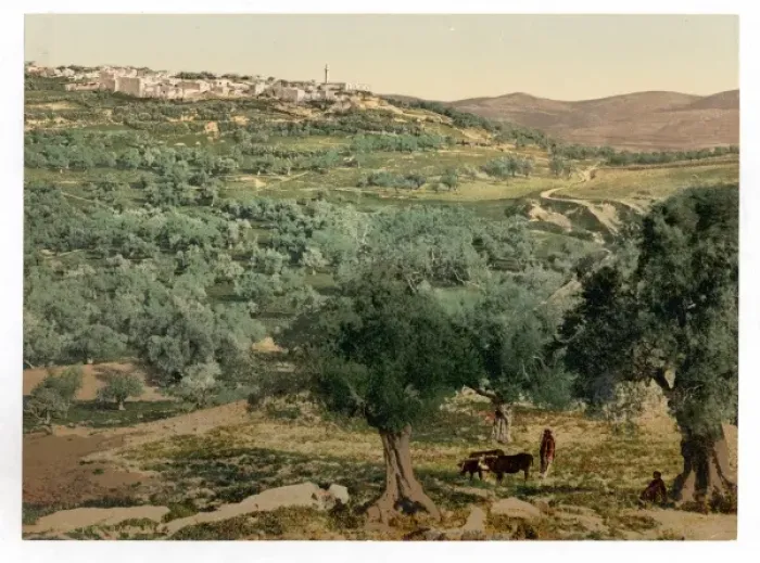 Framed Print : General view, Samaria, Holy Land, (i. e. Sabastiyah, Israel) Framed Print : General view, Samaria, Holy Land, (i. e. Sabastiyah, Israel)